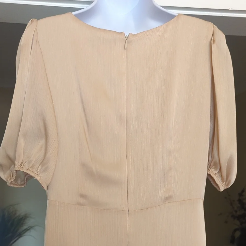 Sachin + Babi Champagne Ruched Maxi Gown - Picture 5 of 6